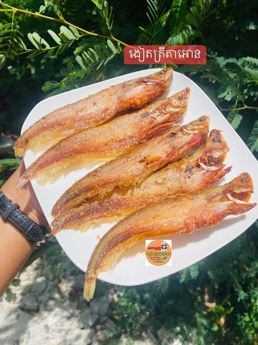 Dry fish medium size ( ត្រីតែអោន ) 500g/bag