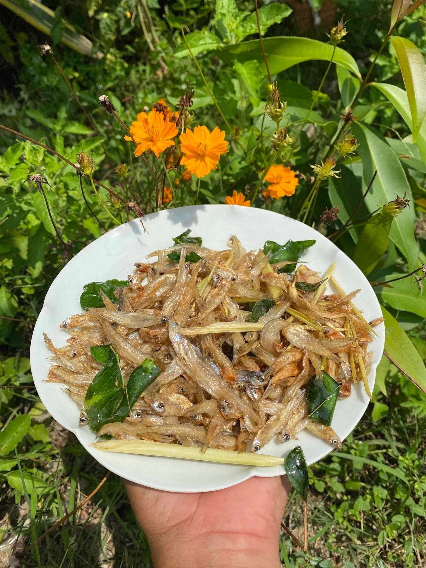 Mini dry fish marinated (ត្រី បណ្ដូលល្ពៅ) 500g/bag