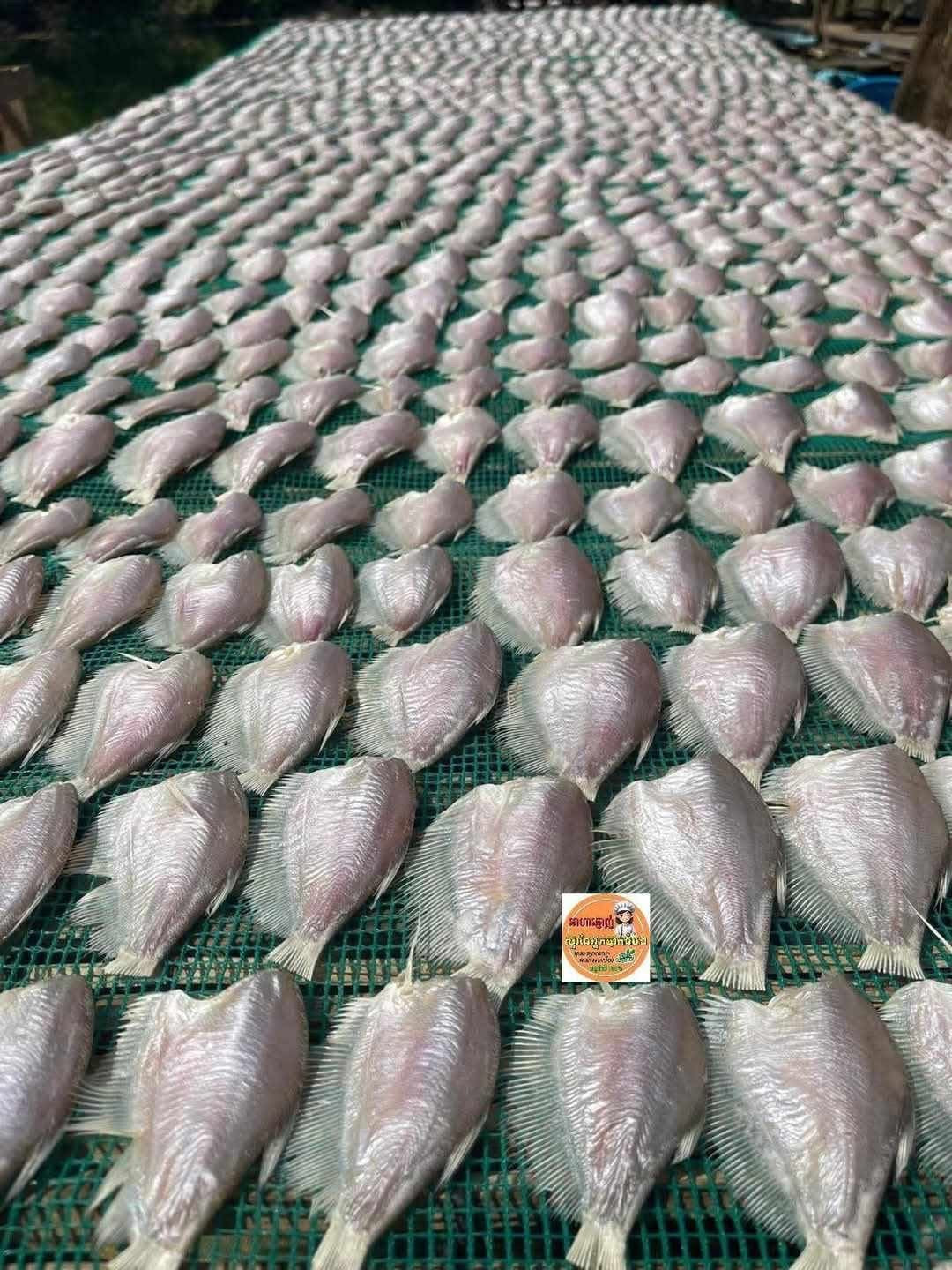Dry fish marinated (ត្រីកំភ្លាញ) 500g/bag