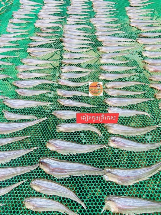 Small dry fish ( កូនត្រីកេះ) 500g/bag