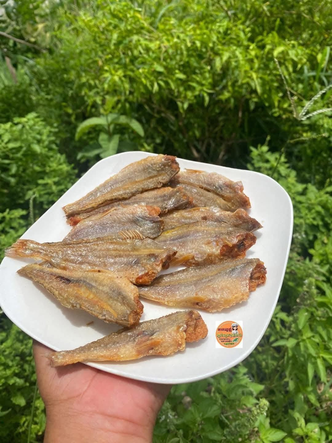 Small dry fish marinated ( កូនត្រីកញ្ចុះ )500g/bag