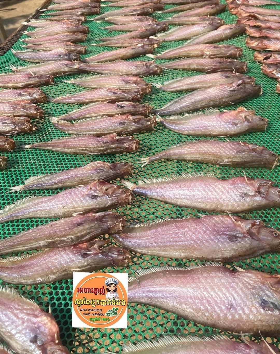 Dry fish medium size ( ត្រីតែអោន ) 500g/bag