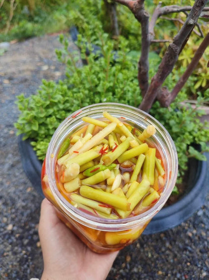 Young Bamboo Pickle 1kg/jar