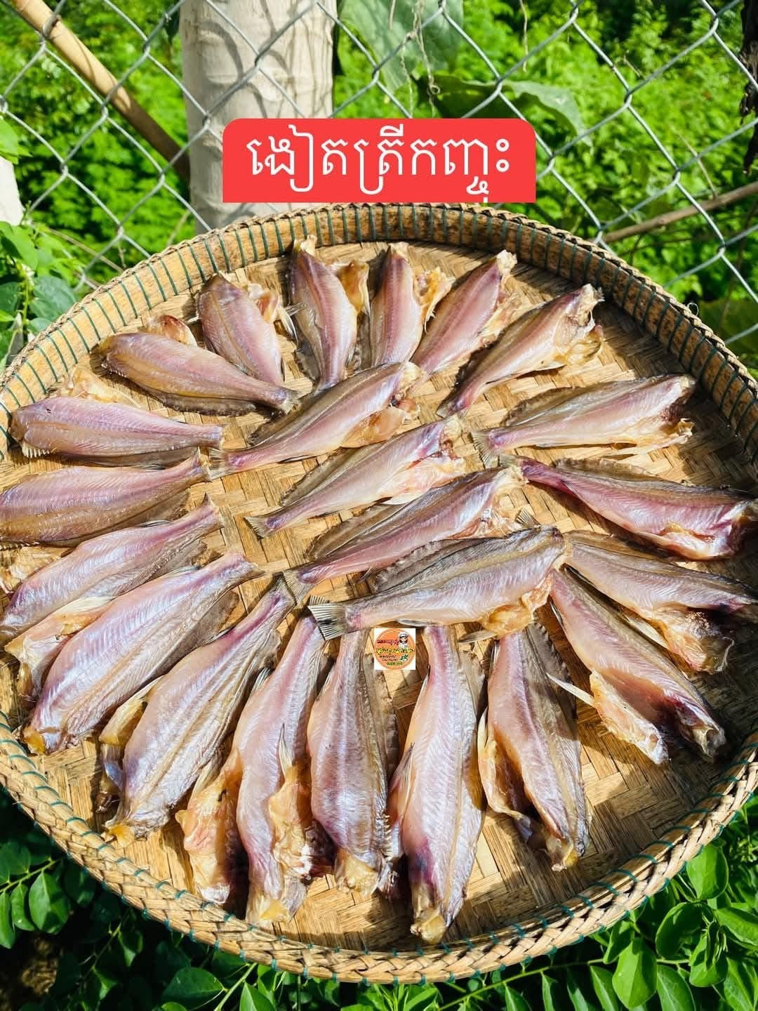 Small dry fish marinated ( កូនត្រីកញ្ចុះ )500g/bag