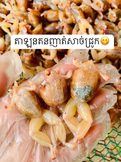 Little Frogs With Pork Stuffing 500g/bag