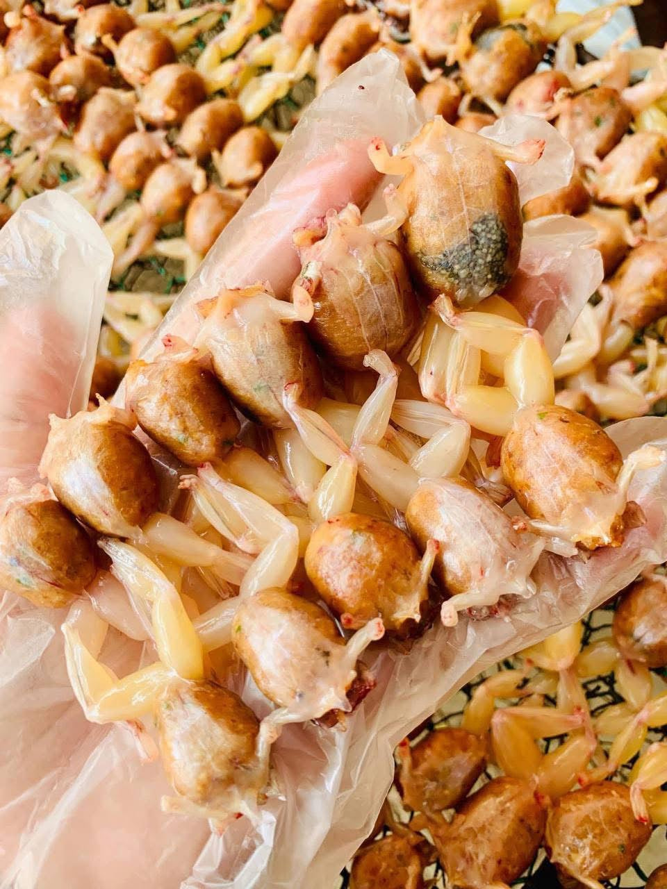 Little Frogs With Pork Stuffing 500g/bag