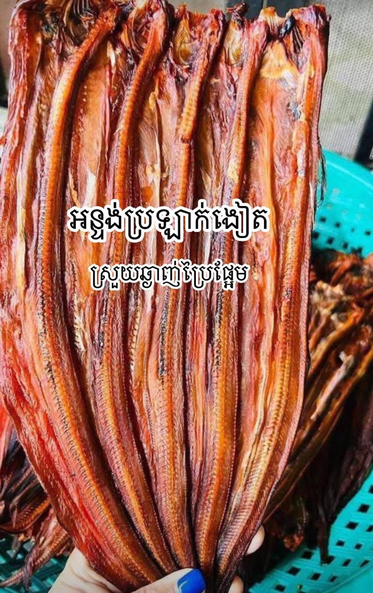 Dry marinated eels 500g/bag