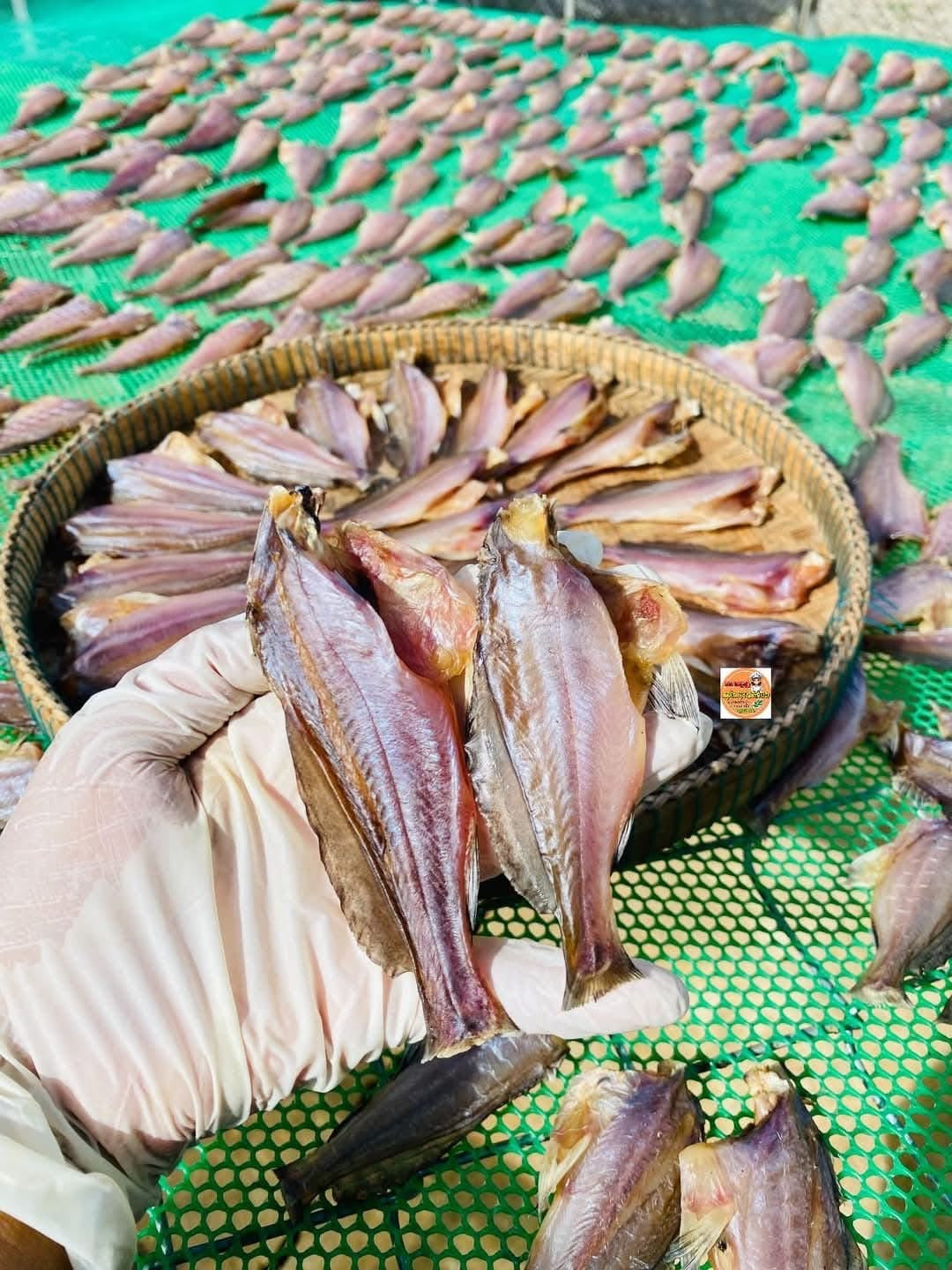 Small dry fish marinated ( កូនត្រីកញ្ចុះ )500g/bag