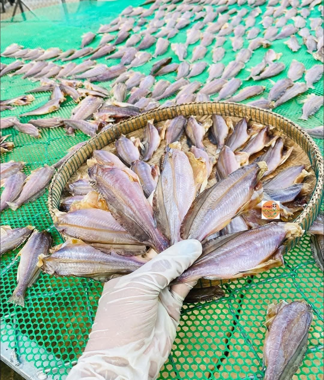 Small dry fish marinated ( កូនត្រីកញ្ចុះ )500g/bag