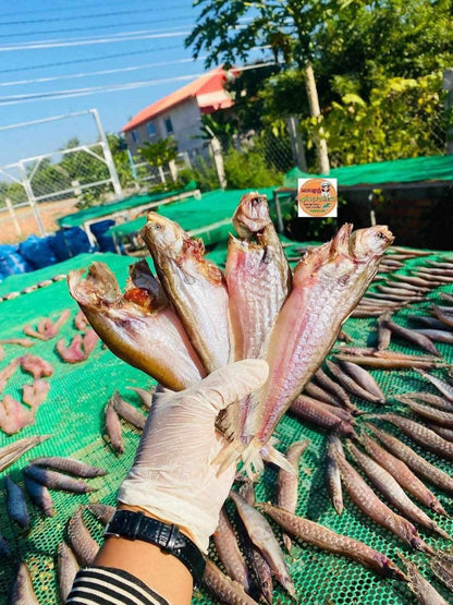Dry fish medium size ( ត្រីតែអោន ) 500g/bag