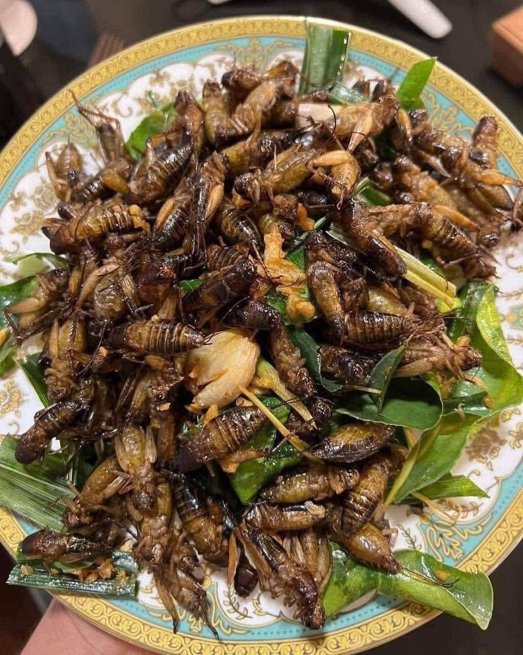 ចង្រិតពងពេញពោះធ្វើឆ្អិនស្រាប់ 500g/bag