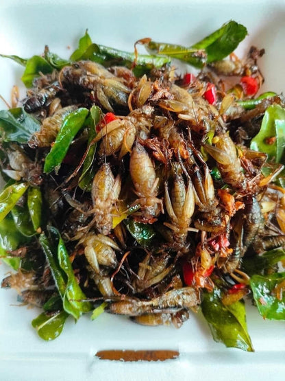 ចង្រិតពងពេញពោះធ្វើឆ្អិនស្រាប់ 500g/bag