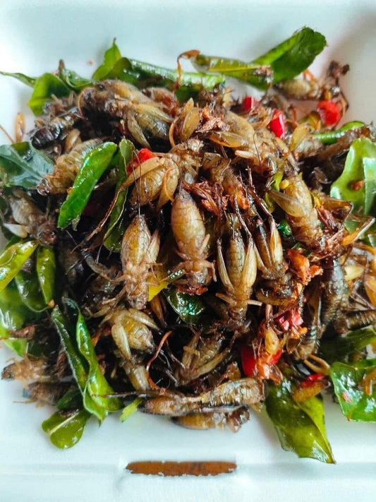 ចង្រិតពងពេញពោះធ្វើឆ្អិនស្រាប់ 500g/bag