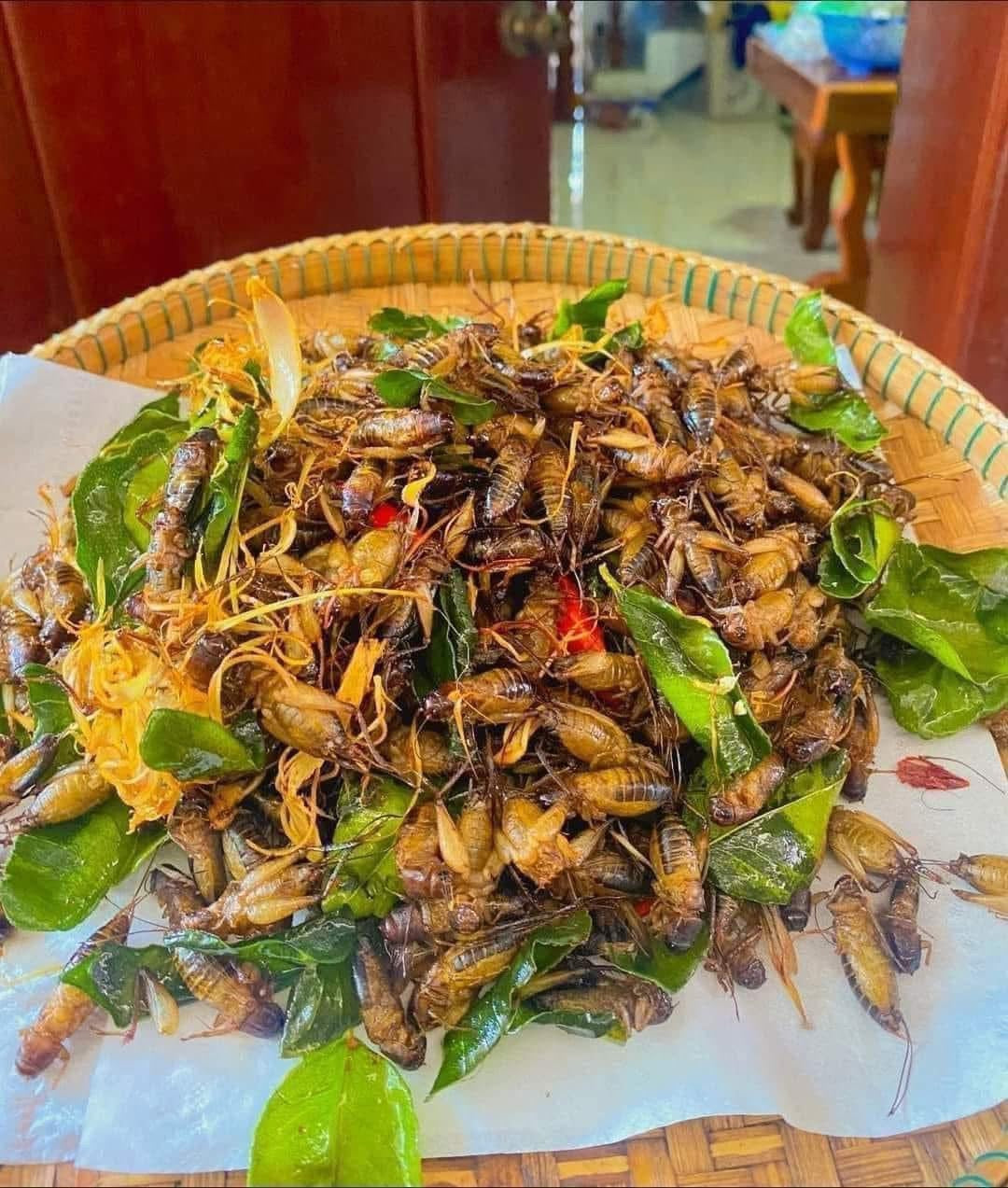 ចង្រិតពងពេញពោះធ្វើឆ្អិនស្រាប់ 500g/bag