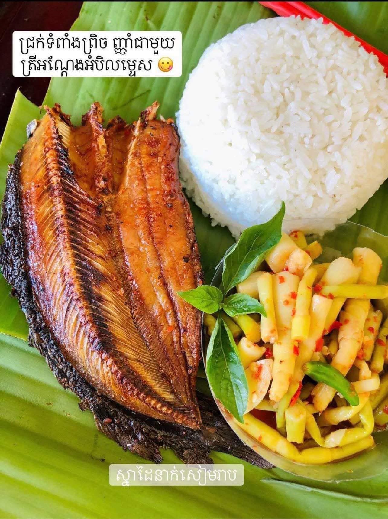 Dry farm catfish 500g/bag