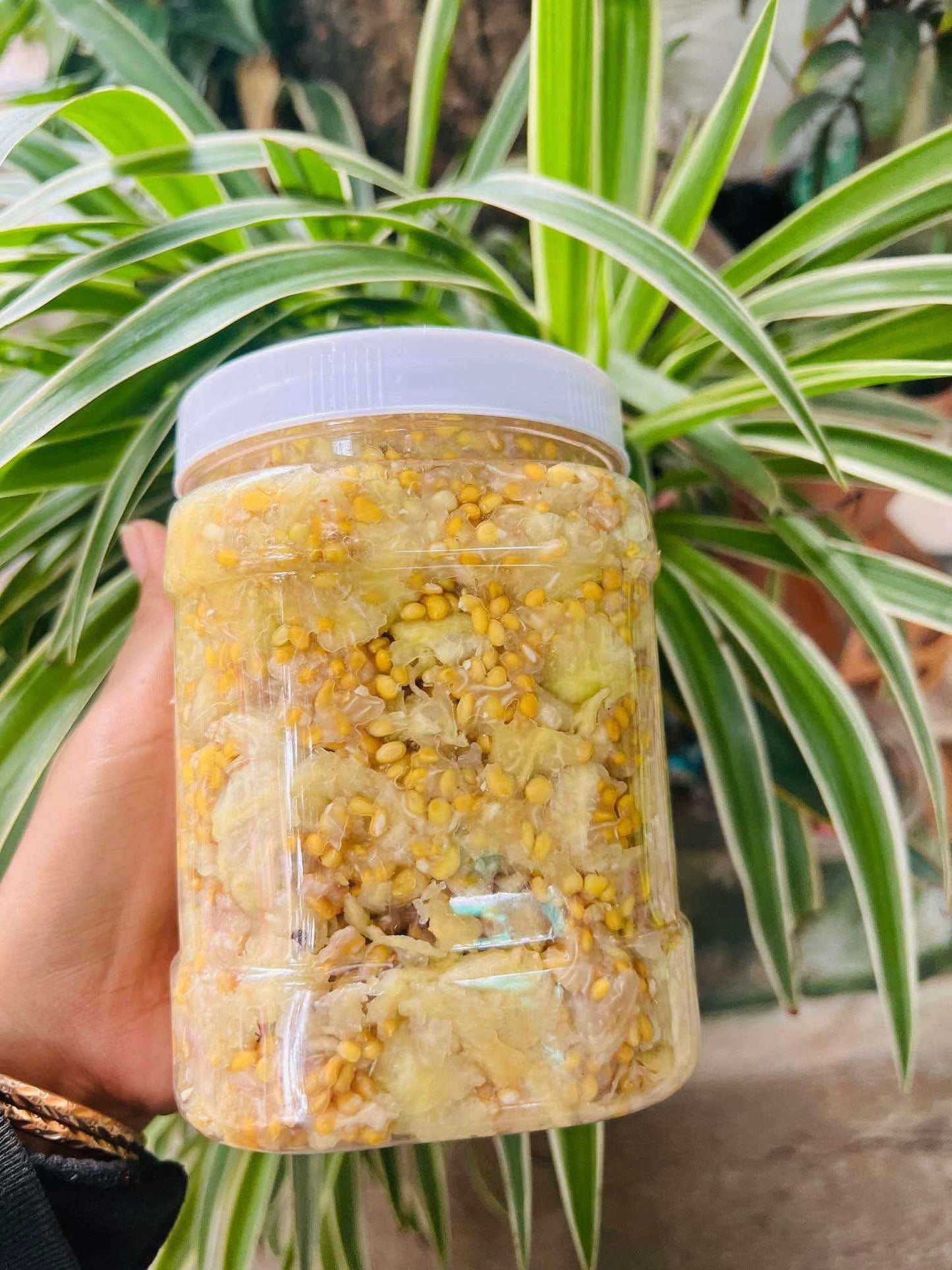 ក្រសាំងសាច់សុទ្ធ 500g/jar